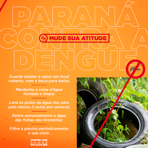 Paraná contra a Dengue. 