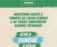 Divulgação Dengue