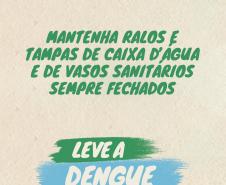 Divulgação Dengue