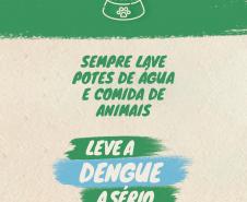 Divulgação Dengue