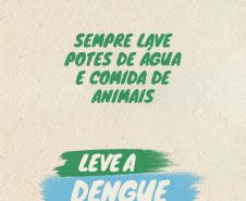 Divulgação Dengue