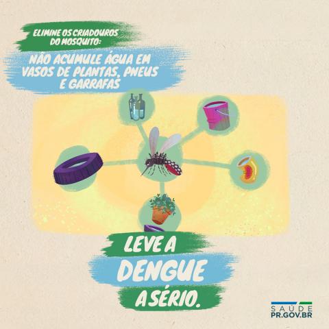 Não acumule água em vasos de plantas, pneus e garrafas